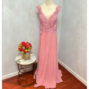 Camilla La Vie Rose Pink V-Neck Embroidered Lace Top Chiffon Gown- Size 12 - NWT